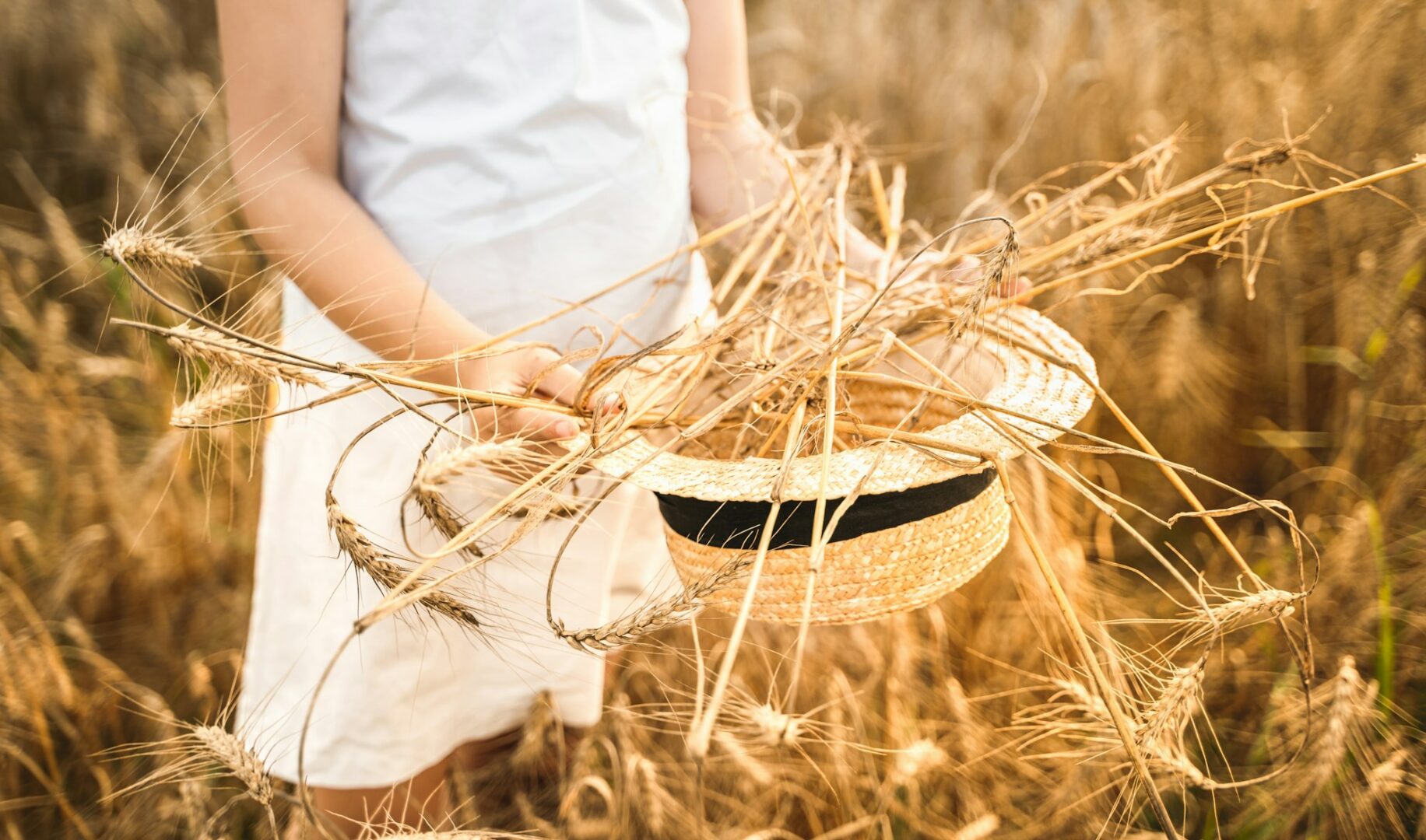 Happy girl in white dress with straw hat full of ears of wheat, rye, barley walking in yellow,