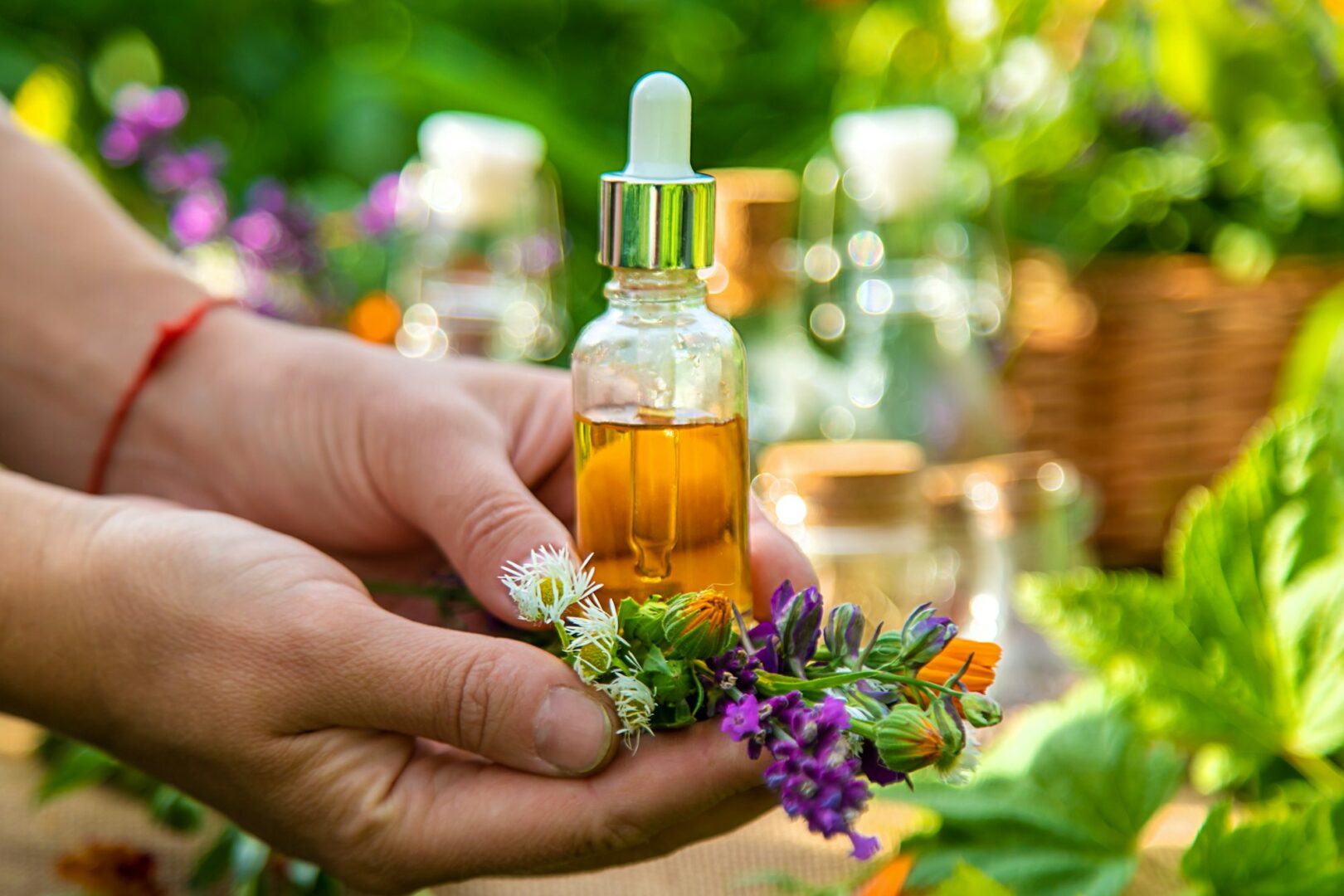 Plants and herbs, nature, alternative medicine. Selective focus.